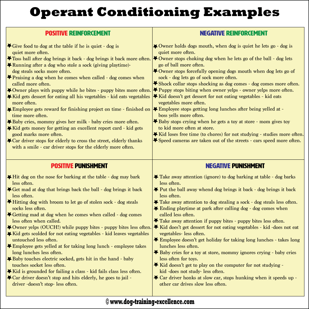 Operant Conditioning Using Positive Vs Negative Dog Training Methods 