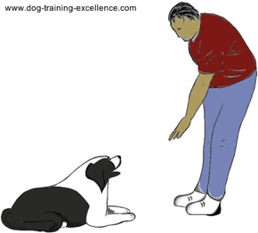 dog training hand signal in kennel