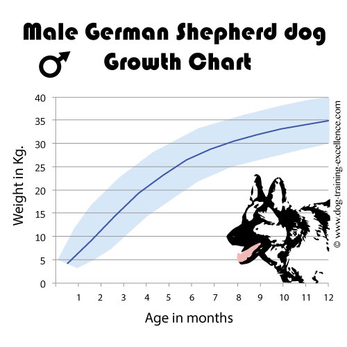 German Shepherd Puppy Growth Chart: A Visual Reference of Charts ...