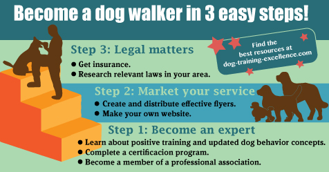 how do you become a professional dog walker
