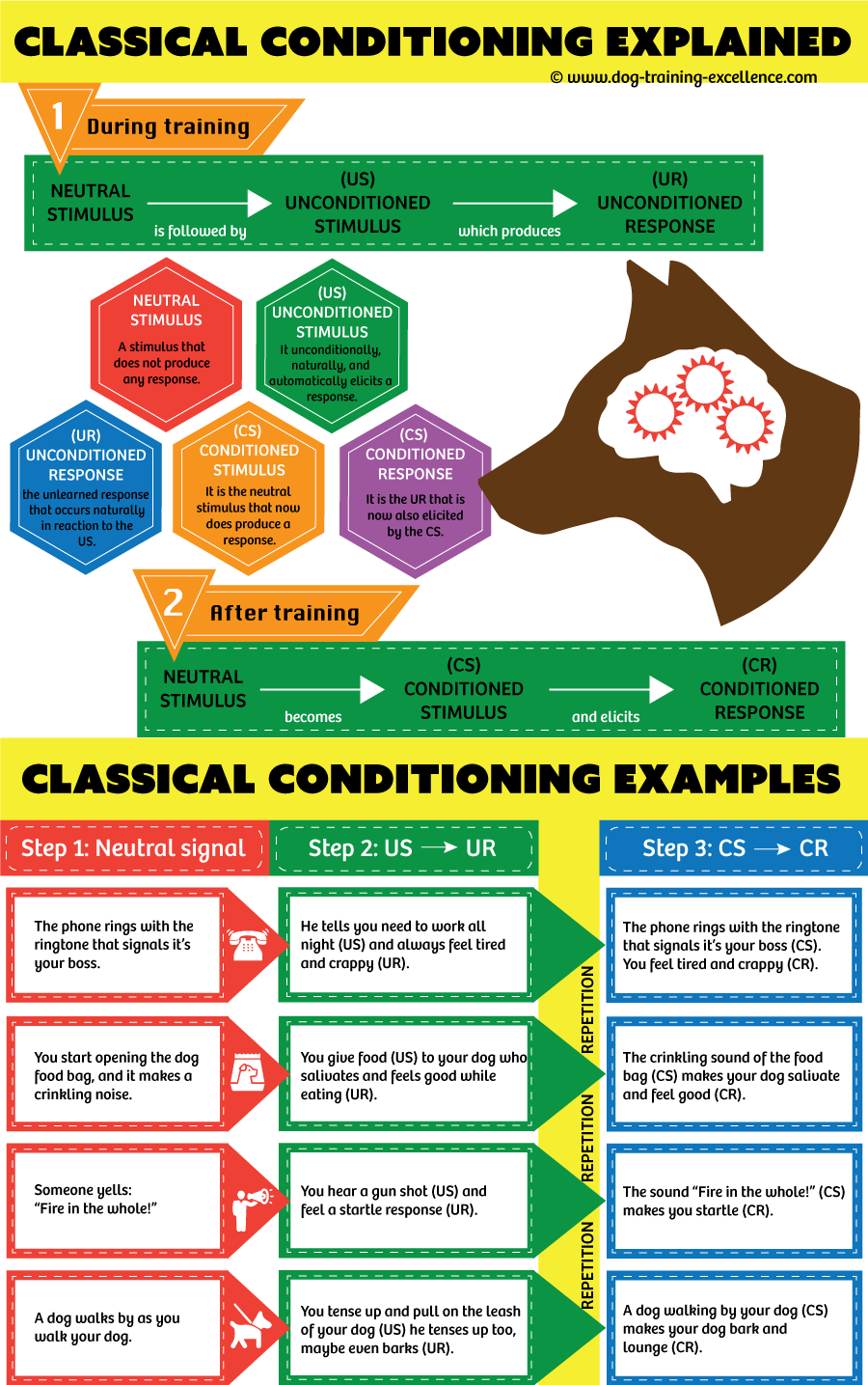 Classical Conditioning A Basic Form Of Learning 