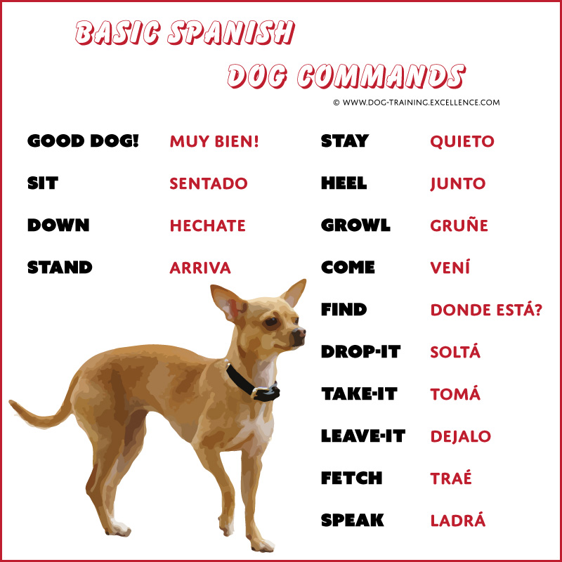 Infrmal Commands Spanish Practce Printable