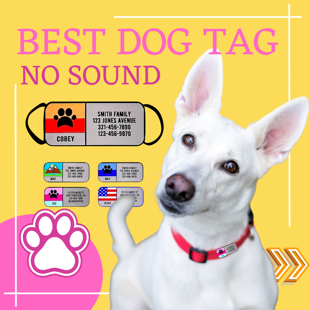 best dog tag girl female