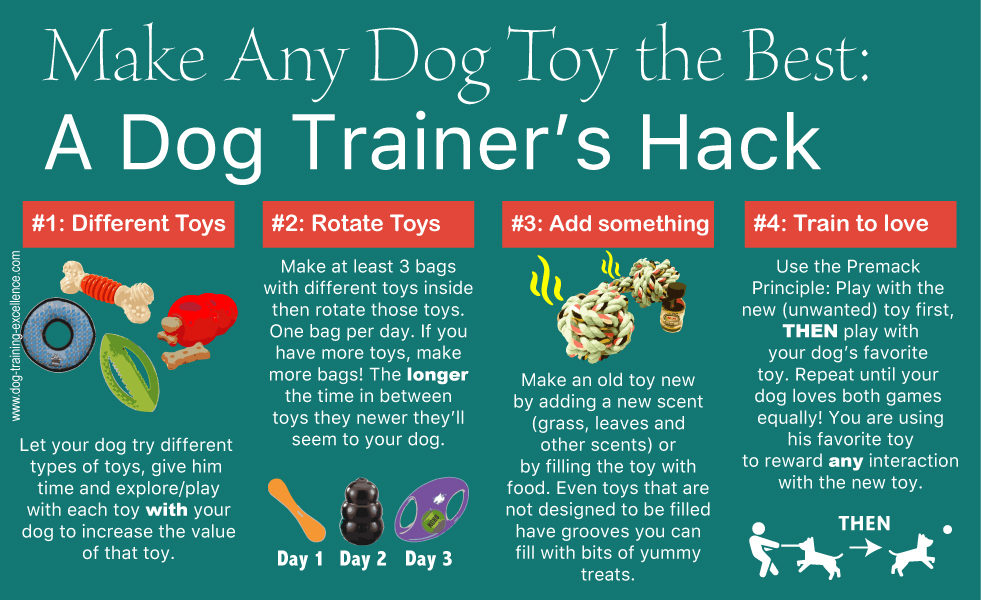 Best Dog Toys: A Dog Trainer's Hack