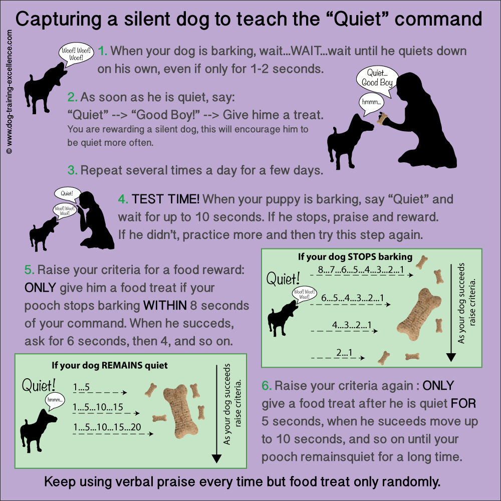 teach dog to bark on command