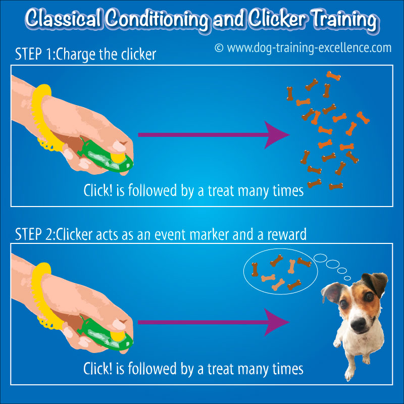 Clicking with Your Dog - Karen Pryor Clicker Training