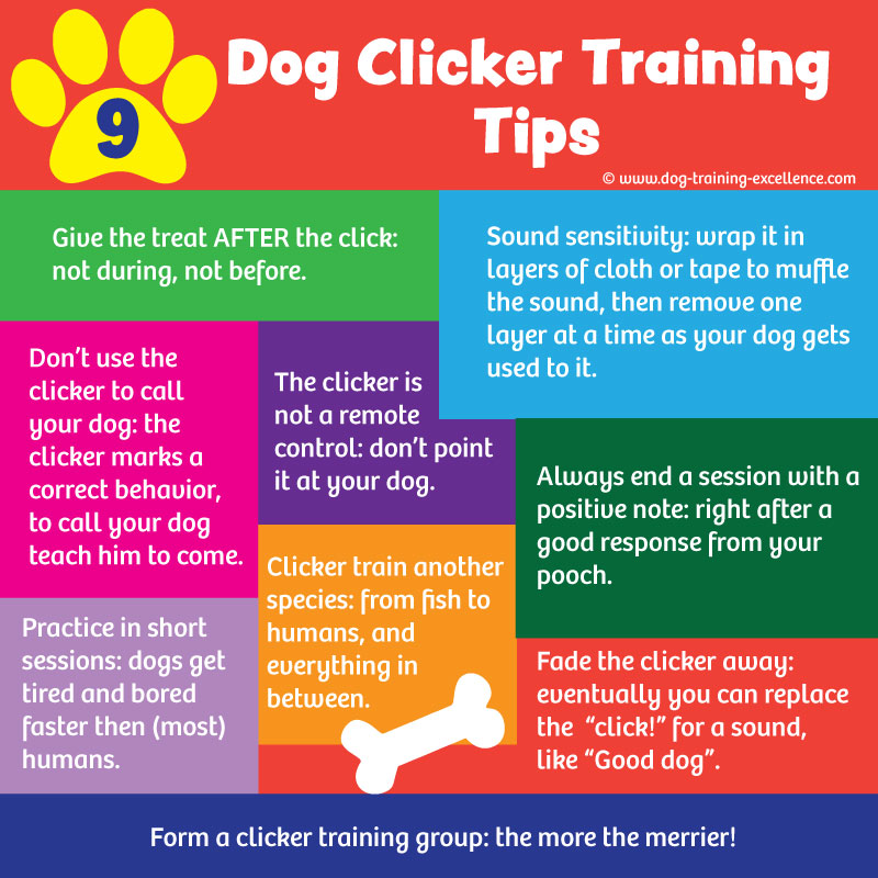23 Free Dog Clicker Training Tips for 