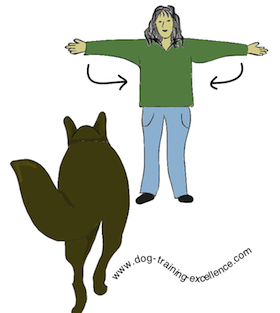standard dog training hand signals