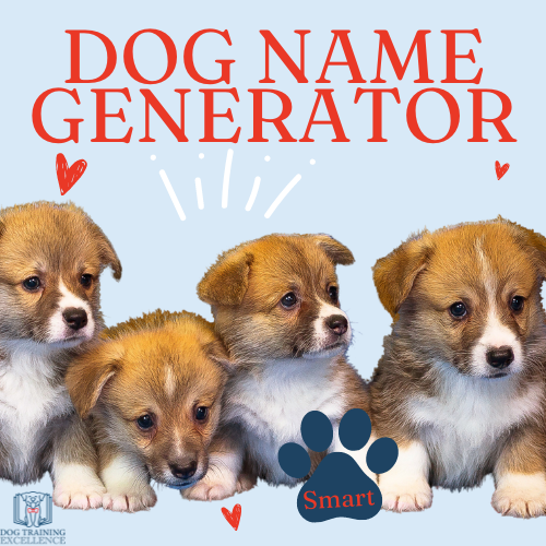 dog name generator