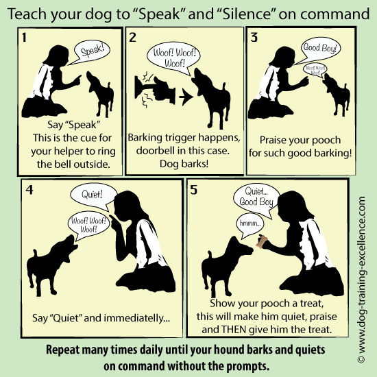 how do you teach a dog to speak