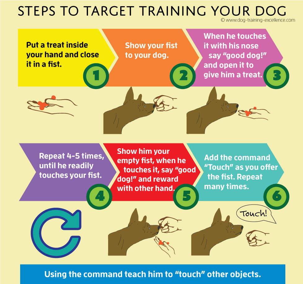 Dog Target Training Can Speed Up Learning