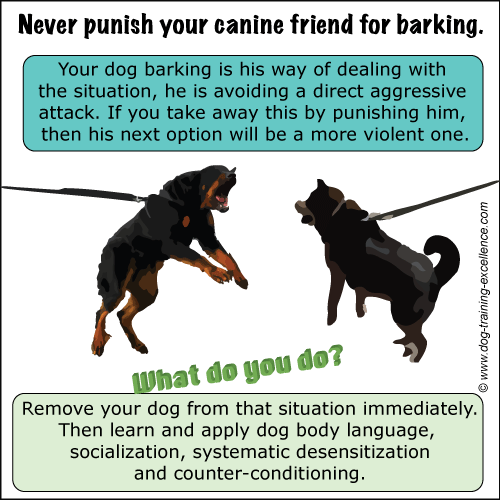 how to get your dog from barking