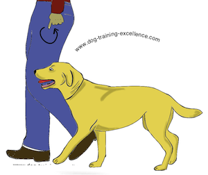 hand signal for training dogs