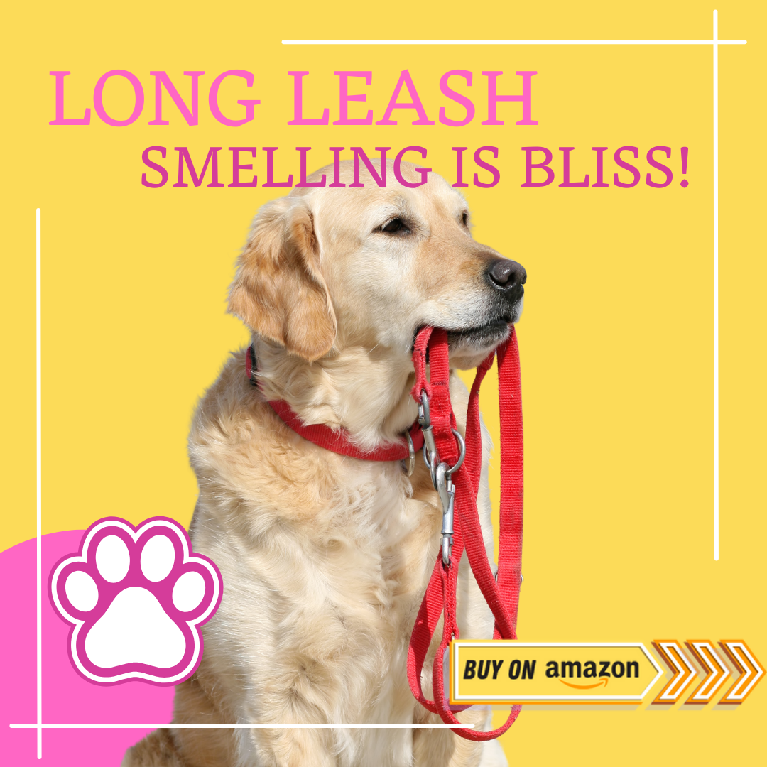 long leash dog girl