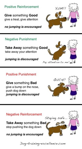 dog training touch hands signals