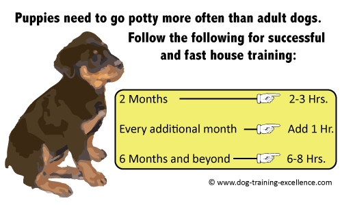house training your dog