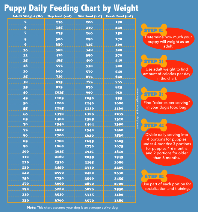 Puppy Feeding Chart By Age And Weight