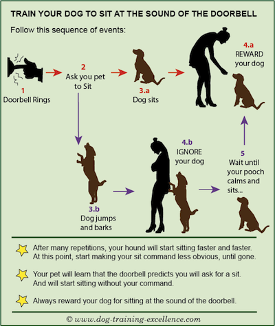 should you ignore your puppy