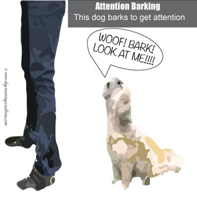 dog barking to get attention