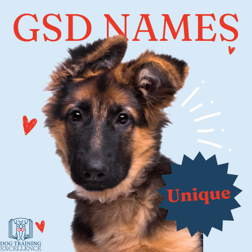 Popular german shepherd names