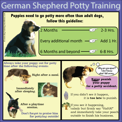 best german shepherd trainers near me