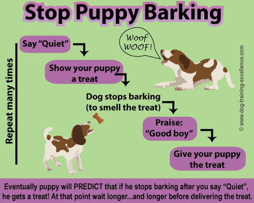 my puppy barking and how do I stop 
