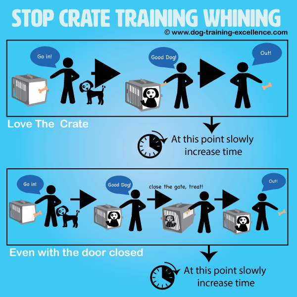 Stop Crate Training Whining