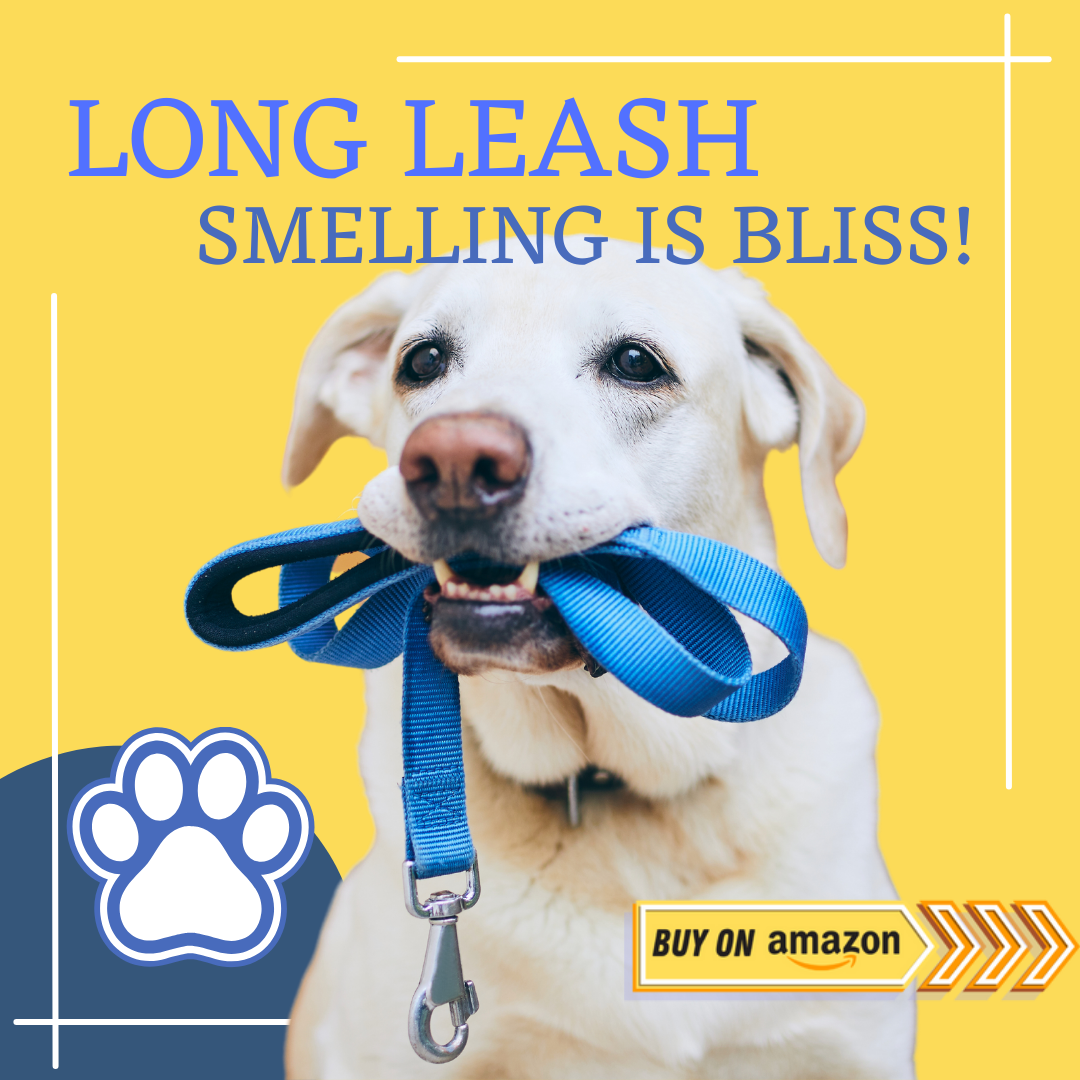 long dog leash amazon