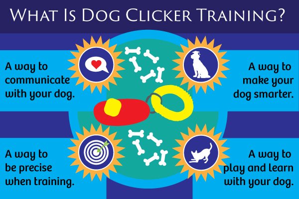 Illustration & Clicker Training — This is one of my favorite clicker games,  and I
